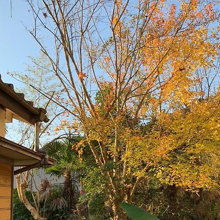 Hoshiyama B Extra For Pets - Vacation Stay 13934V Fudžinomija Exteriér fotografie