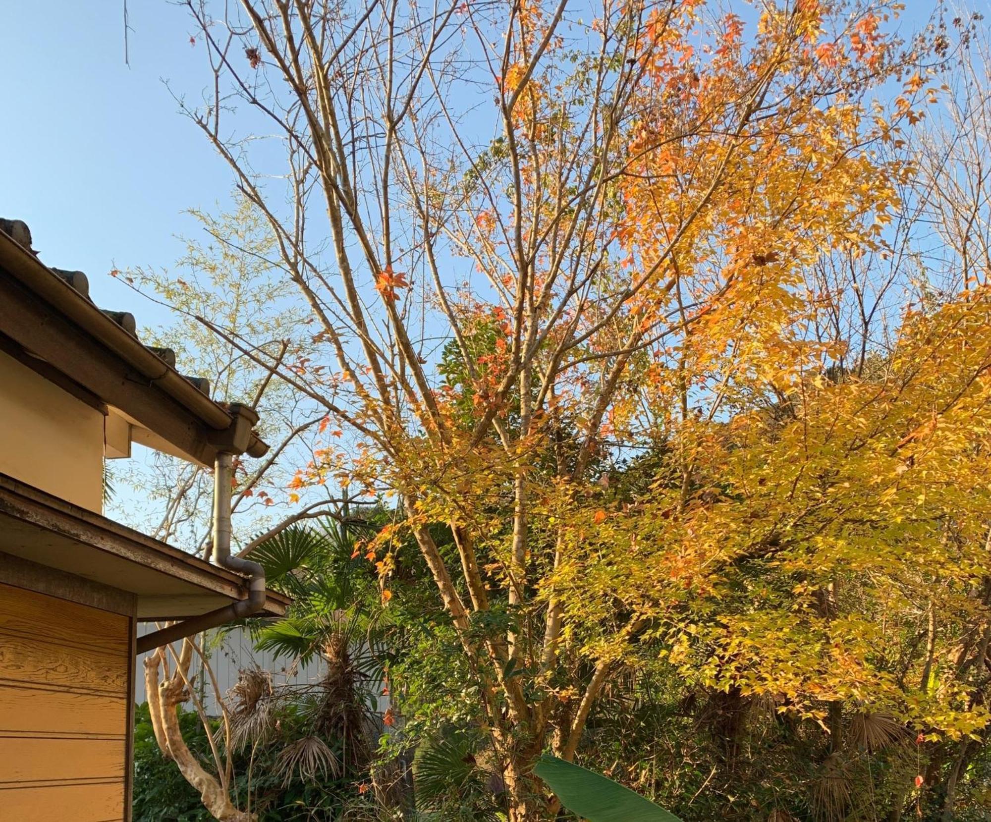 Hoshiyama B Extra For Pets - Vacation Stay 13934V Fudžinomija Exteriér fotografie